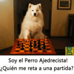perro-ajedrecista