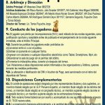 BASES-2019-MENTES-BRILLANTES-(1)-5