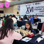 continental-femenino-ajedrez-2025-portada